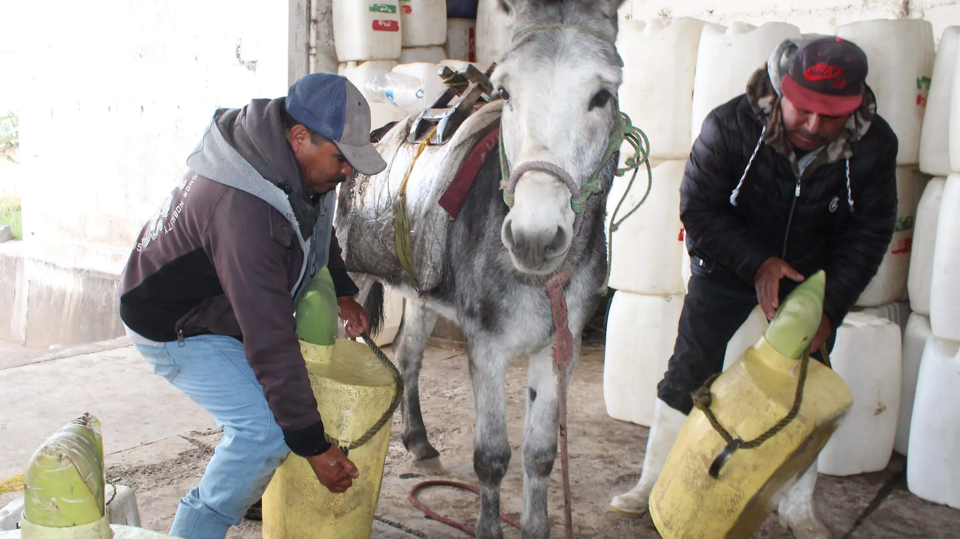 PULQUE 11